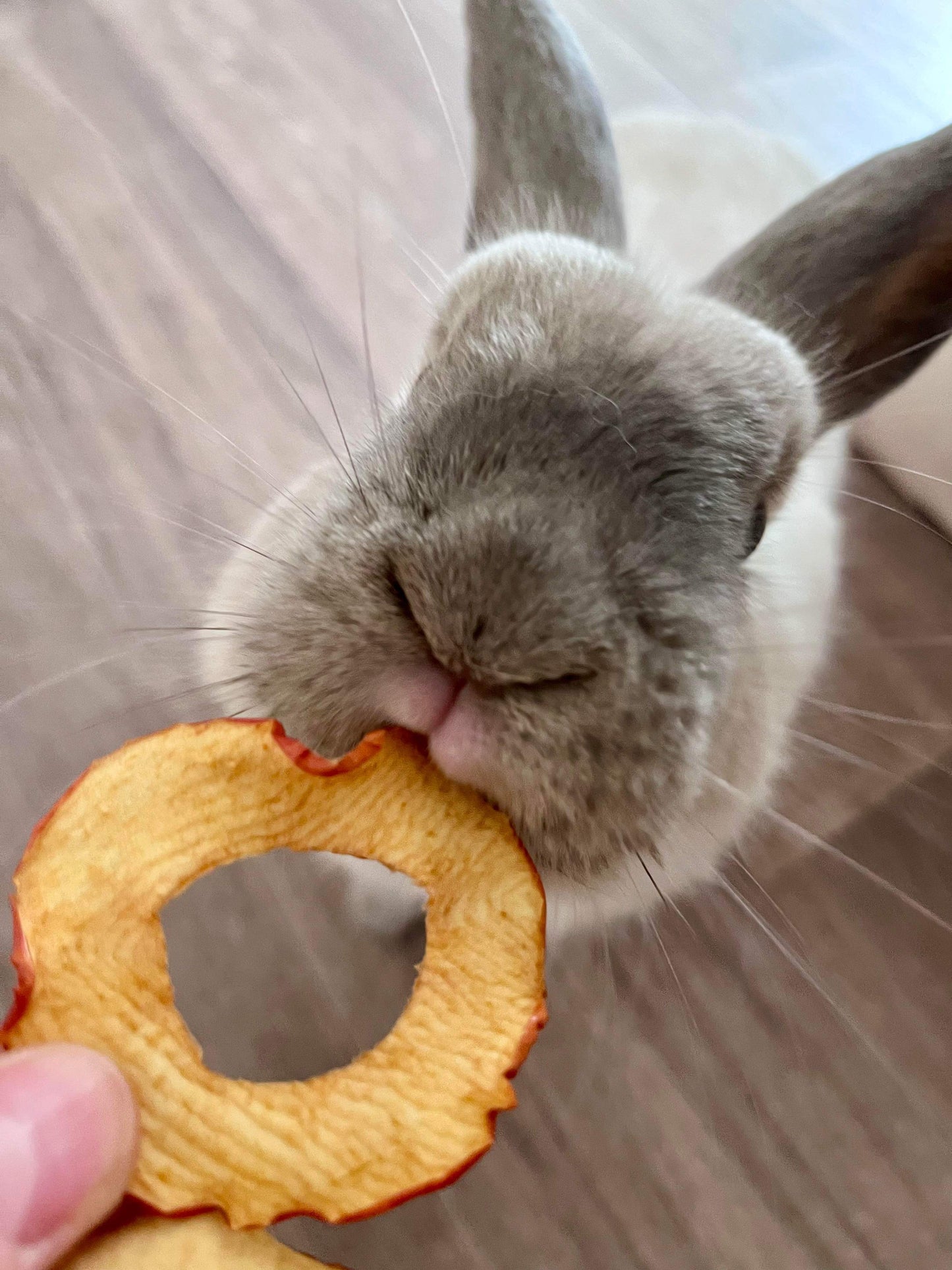 Apple ring treats - 40g